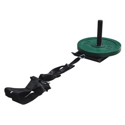 Olympic Power Sled With Harness