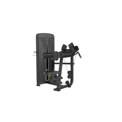 Cyberfit Lateral Raise Machine