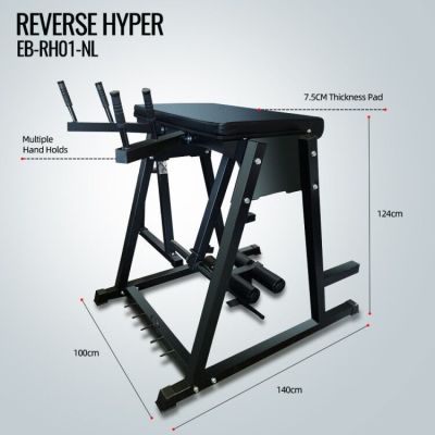 Reverse Hyperextension Bench