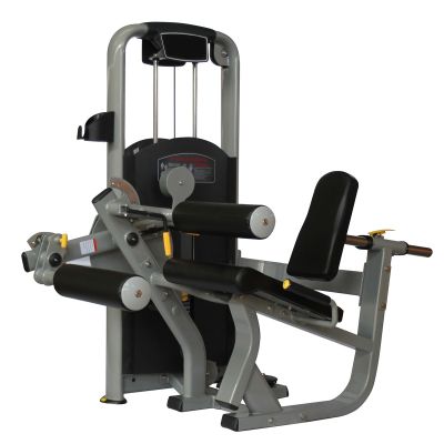 Leg Extension + Leg Curl Machine