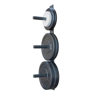 Wall Mount Bumper plate Rack