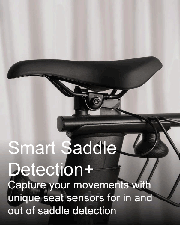 Smart-saddle-detection